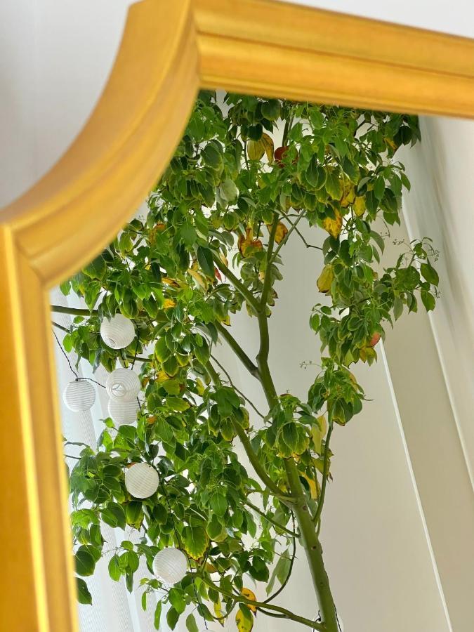 #Lemon Tree By Halu! Apartments 테살로니키 외부 사진